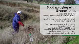 Spot Spraying with Grazon Extra [upl. by Hyacinthe105]