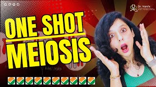 MEIOSIS One Shot  All Theory Tricks amp PYQs Covered  Class 11 VANI MAAM CELL CYCLE amp CELL DIVISION [upl. by Adnawaj]