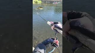 【AREA TROUT FISHING】 2024119 Part4 [upl. by Talanian]