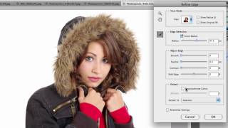 Refine Edge in Photoshop CS5 [upl. by Lever77]