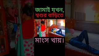 জামাই যখন শ্বশুর বাড়িতে মাংস খায়। Jamai Jokhon Shoshur Barite Mangso Khay [upl. by Leo]