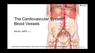 ANAT101026Blood vessels [upl. by Navek]