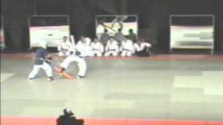 Yoseikan Jujutsu  Yoseikan Aikido demonstration 1 of 3  Edgar Kruyning 2004mpg [upl. by Ralf499]