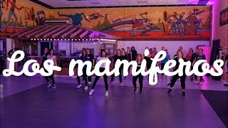 Los mamiferos  El Alfa El Jefe  Fit Dance Zumba [upl. by Nimsay]