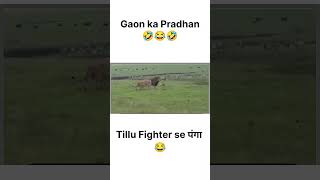 Gaon Ka Pradhan😂ytshort yt viralvideo viralvideos viralshorts viralshort funny memes [upl. by Johnathon522]