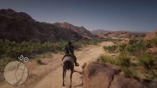 RDR2 Online  Collector Month Bonuses  Time to get Collecting [upl. by Anilahs]