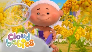 Achoo 🤧  Cloudbabies Full Episode  Cloudbabies Official [upl. by Kliment]