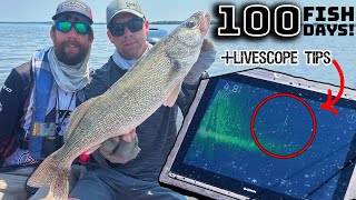 AIM WALLEYE Championship 2023 [upl. by Eetsim]