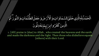 Surah Anam  Nasser al Qatami سورة الأنعام  ناصر القطامي [upl. by Ellehcor]