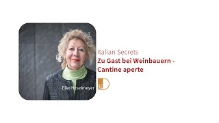 Zu Gast bei Weinbauern  Cantine aperte Italian Secrets in DNEWS24 [upl. by Leahcim]