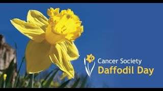 Daffodil Day NZ 2023 [upl. by Trudey18]