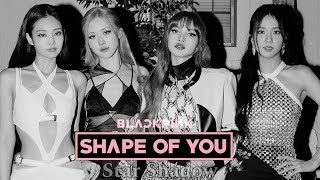 Shape Of You  BLACKPINK MV [upl. by Ailecara218]