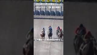 【競馬ハプニング】原 優介騎手発走後の御法（鞭の使用）について騎乗停止処分。2024年11月3日東京６レース 競馬ハプニング [upl. by Germana]