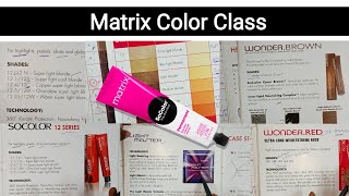 Matrix Hair Color Class Full Explained Knowledge By Salonfact [upl. by Jaclin]