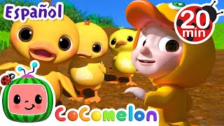 Diez patitos  Canciones Infantiles  Caricaturas para bebes  CoComelon en Español [upl. by Ailadi]