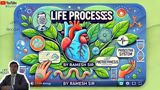 Life Processes Part2  Class 10th Biology  class10th cbse ncert [upl. by Oniram260]