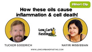 How these oils cause inflammation amp cell death [upl. by Wichman]