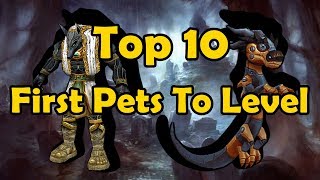 Top 10 First Pets To Level For New Pet Battlers  Legion Version [upl. by Kraul827]