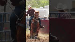 Tie Down Roping [upl. by Allison]