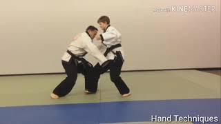 Tang Soo Do full training video all 1 steps and Forms [upl. by Inah]