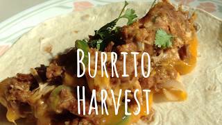 Burrito Harvest  Cilantro Tomato Jalapeno amp Onion [upl. by Tyra799]