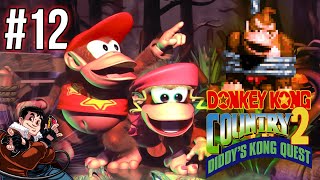 Velberan vs Donkey Kong Country 2 12 [upl. by Aihn660]