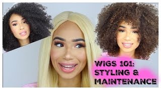 WIGS 101 Styling and Maintenance  Tips and Tricks [upl. by Malachy]