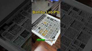 Achieve NextLevel Organization with 3D Printing on the Bambu Lab P1S [upl. by Evad]