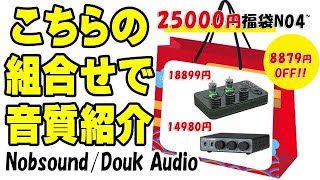 福袋 NO 4 A1  NS13G MAX ■ Nobsound Douk Audio [upl. by Fleischer171]