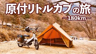 【原付ソロキャンプ180km】リトルカブで西丹沢へ焼鳥食べに行ってくる。なんと交通費総額○○円！ [upl. by Eilsew]