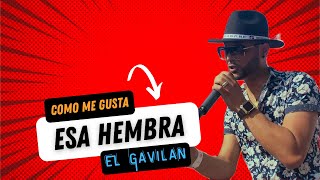 EL GAVILAN de La Bachata  Cómo Me Gusta Esa Hembra [upl. by Dranyer]