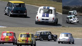 Wild Group N Mini race 2023 Baskerville Historics Chris Kit Ellis Memorial Historic Touring Cars [upl. by Gabriel]