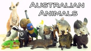 14 Awesome Australian Animals toys  Kangaroo Kookaburra Echidna Platypus Emu Koala Bilby [upl. by Ednew883]