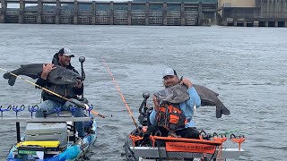 This spillway was loaded with huge catfish [upl. by Latsyek]