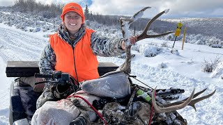 Persistence  Big Buck Down  A Late Season Colorado Mule Deer Hunt  2022 [upl. by Pontone]