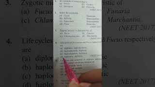 Life cycles haplontic morphologyoffloweringplants class11biologyncert trendingshorts [upl. by Zelten56]