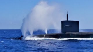 Dolphins Swimming With Nuclear Submarine USS Pennsylvania SSBN 735 [upl. by Thgiwed]