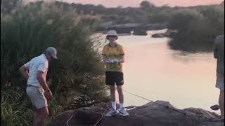 African tiger fish in Kruger park🔥 [upl. by Urdna]