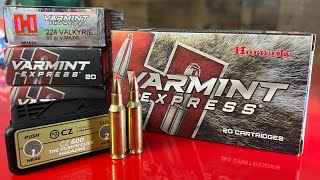 Hornady Varmint Express V MAX 224 Valkyrie [upl. by Hoisch559]