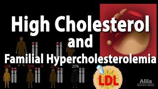 High Cholesterol and Familial Hypercholesterolemia Animation [upl. by Fayre609]