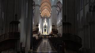 Catedral da Sé em São Paulo  Ensaio de canto visto do térreo [upl. by Saville]