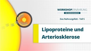 FETT 56 Die Lipoproteine LDL HDL VLDL  Workshop Ernährung [upl. by Dredi827]