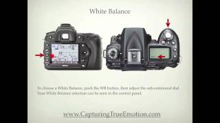 Nikon D90 Settings [upl. by Lundell]