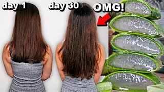 30 DAYS OF ALOE VERA FOR HAIR GROWTH BEFORE AND AFTER RESULTS [upl. by Feinberg]