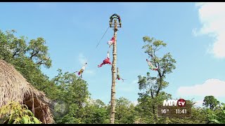 Reportajes de Alvarado  Voladores de Tamaletón [upl. by Remus]