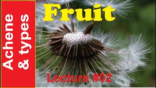 Fruit Lecture 2 Achenial Fruits for BS [upl. by Eidson416]