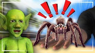 GLIMBO AND THE RETURN OF THE SPIDER Hilarious VRChat Jumpscares [upl. by Aihsekin647]