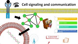 cell signaling overview [upl. by Schuyler640]