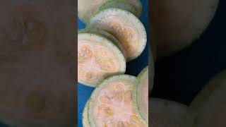 Amazing Zucchino Rampicante Squash [upl. by Dwane414]