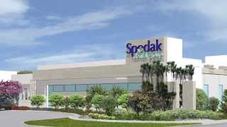 Biophilic Design at Spodak Dental Groups new facility [upl. by Darius]